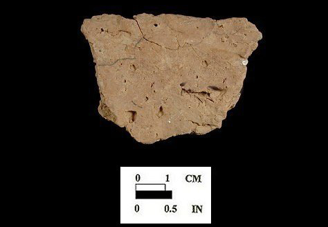 Mockley cord-marked body sherd interior surface from Nassawango site 18WO23/5H.
